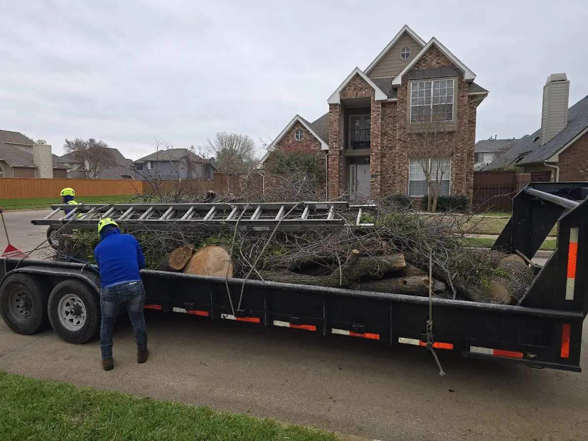 Expert Tree Pest Control with proper safety equipment in Ellery